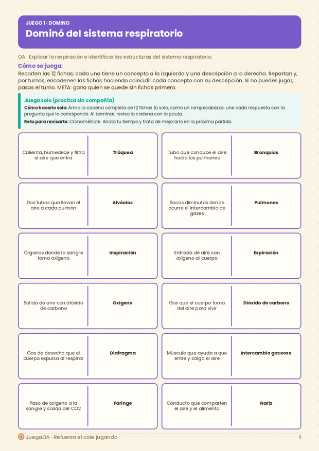 Dominó del sistema respiratorio